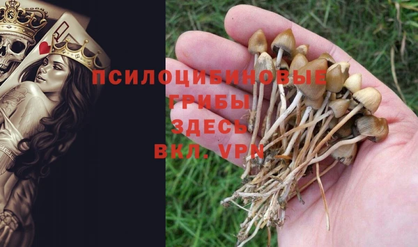 кокс Алексеевка