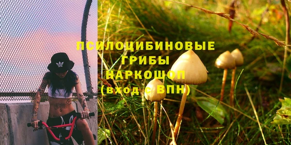 круглые Алзамай
