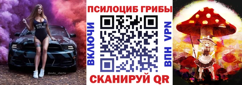 kraken маркетплейс  Сенгилей  Псилоцибиновые грибы Cubensis 