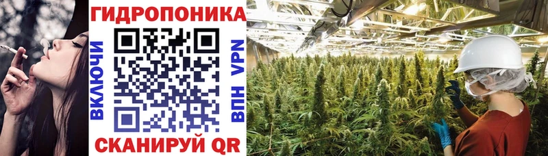 OMG зеркало  Сенгилей  Канабис ГИДРОПОН 